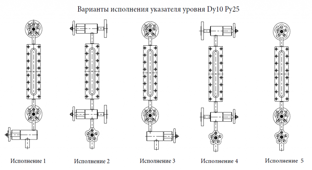 Виды исполнений указателя уровня Ду10 Ру25 